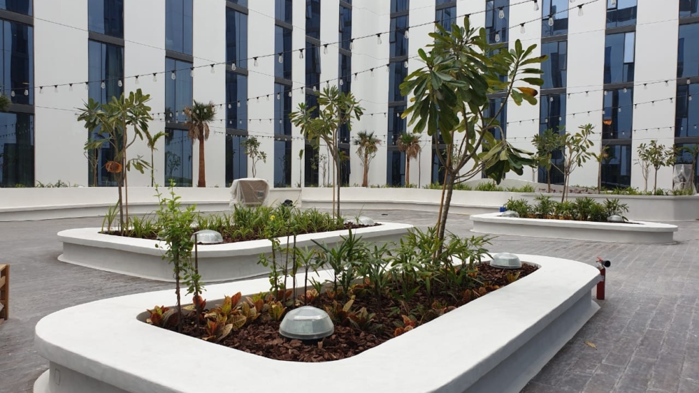 WhatsApp Image 2019-07-22 at 9.45.04 AM(1)