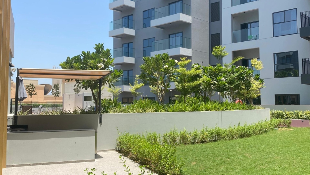 WhatsApp Image 2024-08-01 at 12.24.19 PM